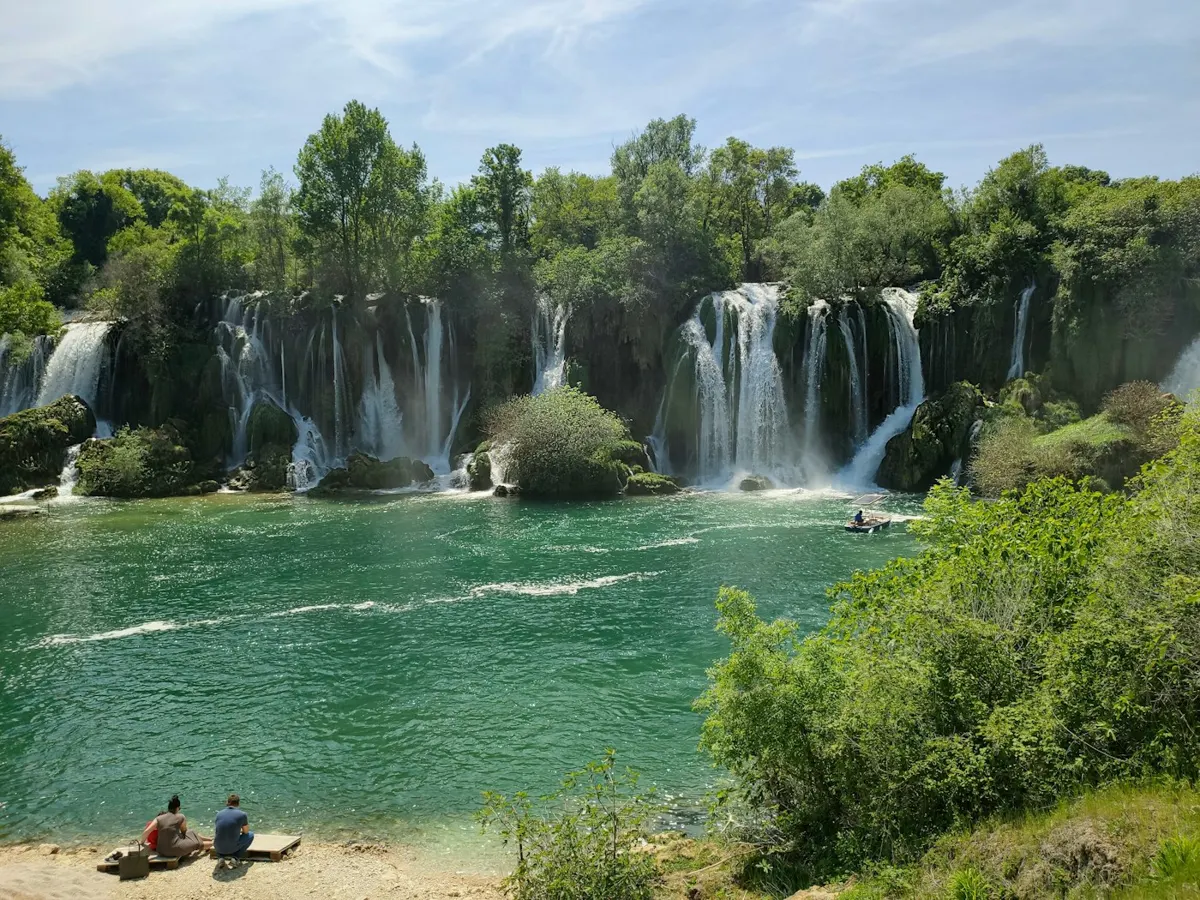 Kravicos kriokliai ir žalias vanduo